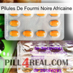 African Black Ant Pills new12